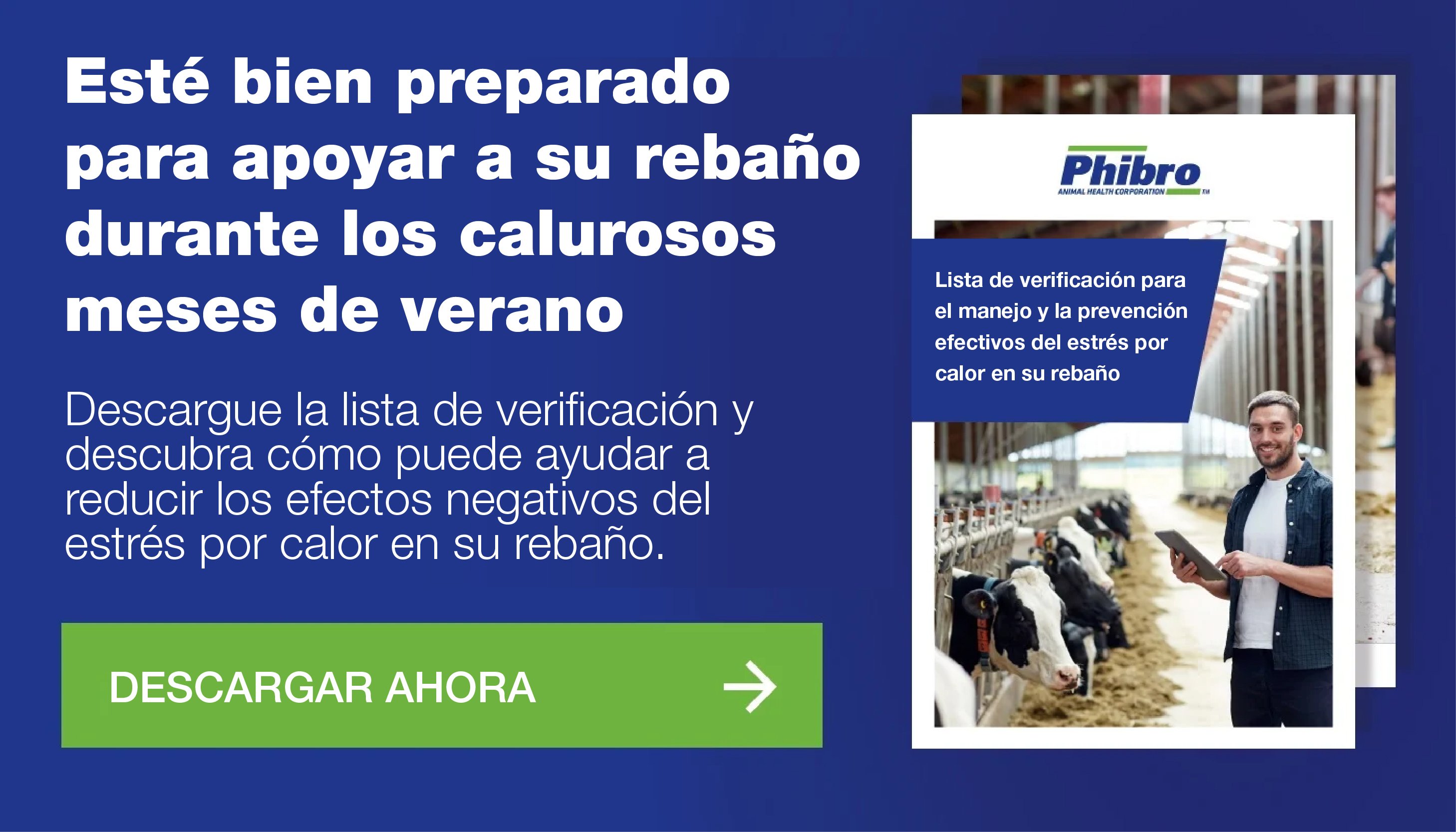 Download checklist image Spanish-1