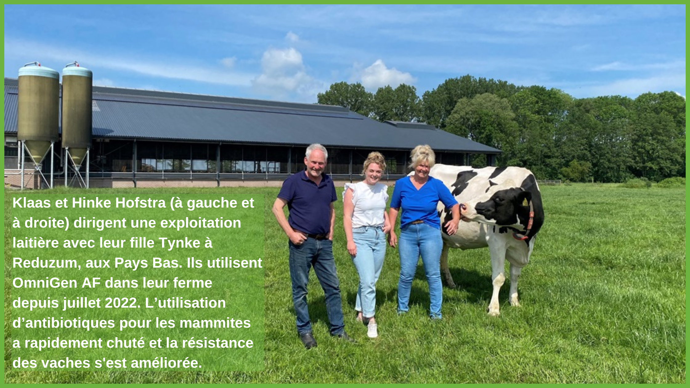 Klaas et Hinke Hofstra (à gauche et à droite) dirigent une exploitation laitière avec leur fille Tynke à Reduzum, aux Pays Bas. Ils utilisent OmniGen AF dans leur ferme depuis juillet 2022. L’util