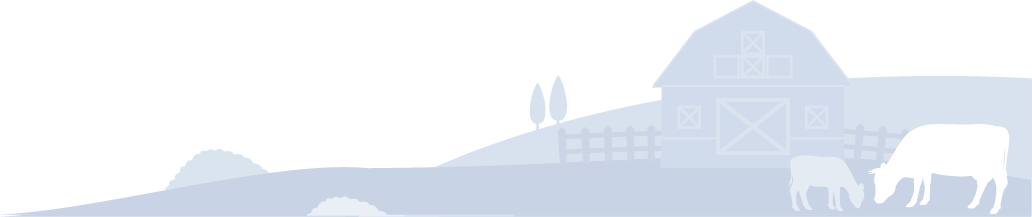 Background-Illustration_1