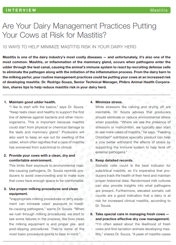 Are Your Dairy Management Practices Putting Your Cows at Risk for Mastitis?