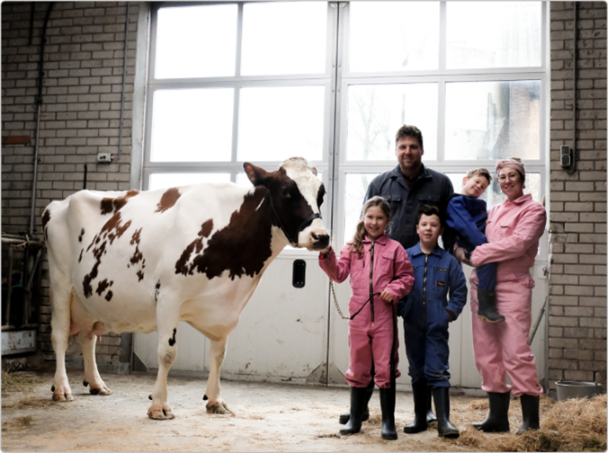 Livestock farmer, accountant and advisor: Jan Dirk Berends strives for a problem-free cow with a good return.