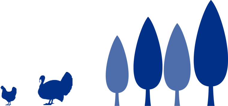 Phibro-Illustratie-Koeien-met-bomen-v3 lazy