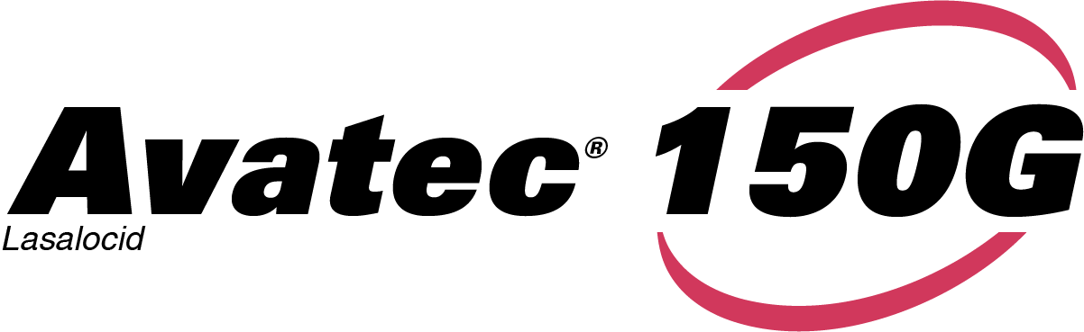 Avatec