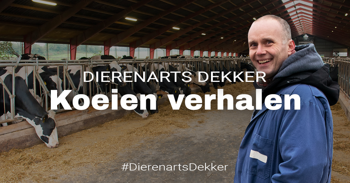 Dr Dekker
